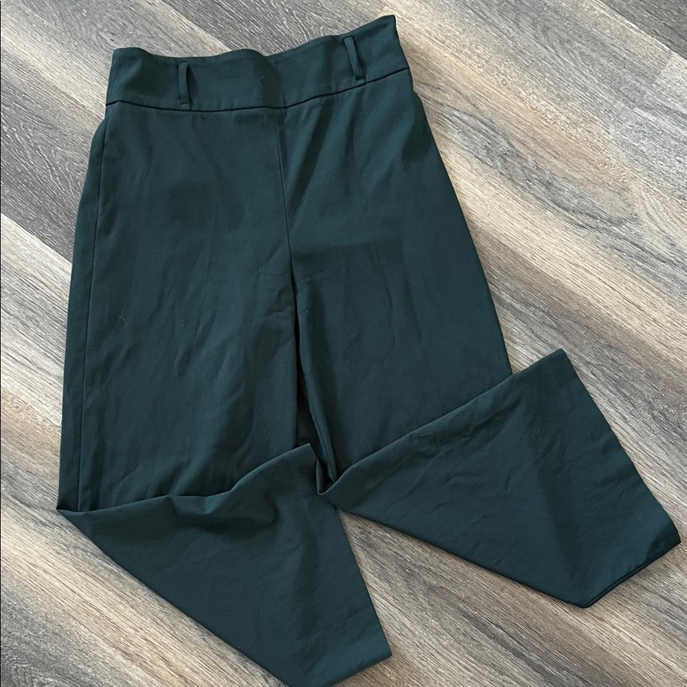 (17) Zara Forest Green Trousers